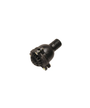 Fit & Flow - Foot Valve and Strainer Female 50mm (2") BSP - Cast Iron Metal