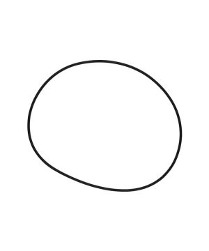 Body O-Ring - to suit EV-5-88-2C(D)