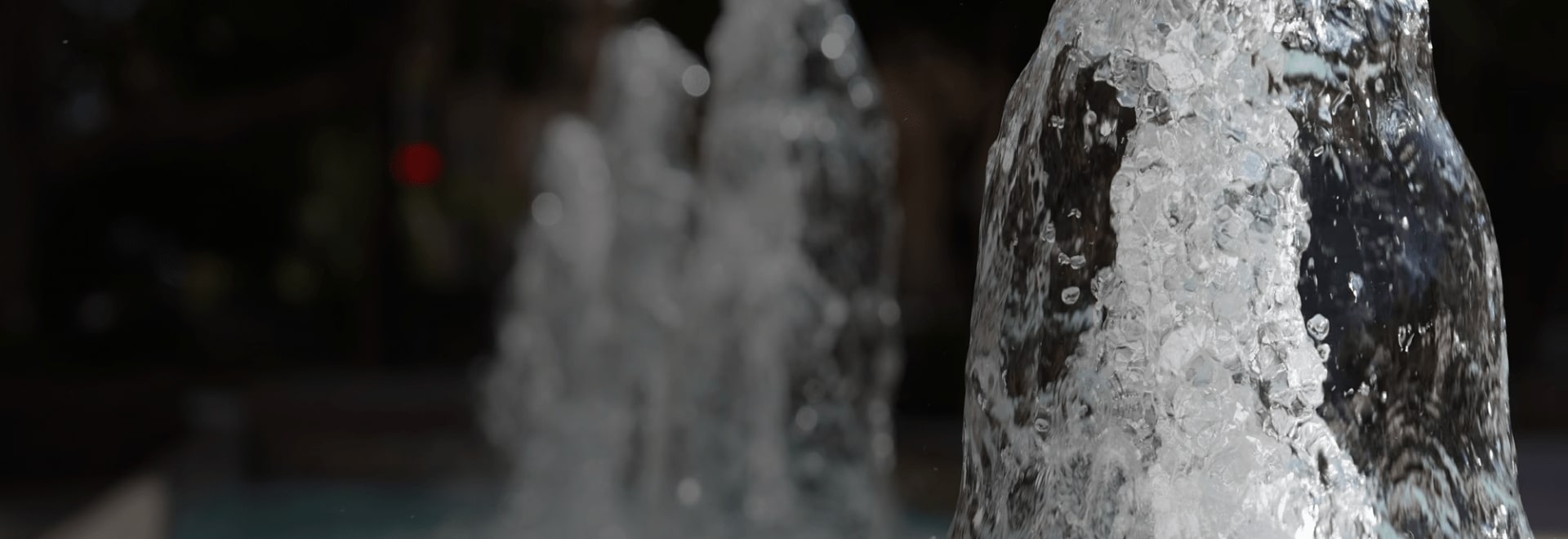 banner image